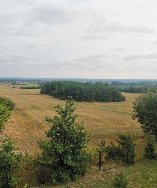 IMG_20240821_104148 (1)