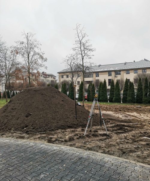 IMG_20241211_105400 (1)